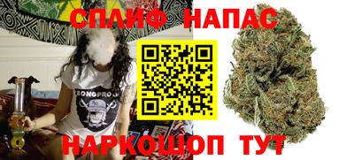 сатива Бузулук