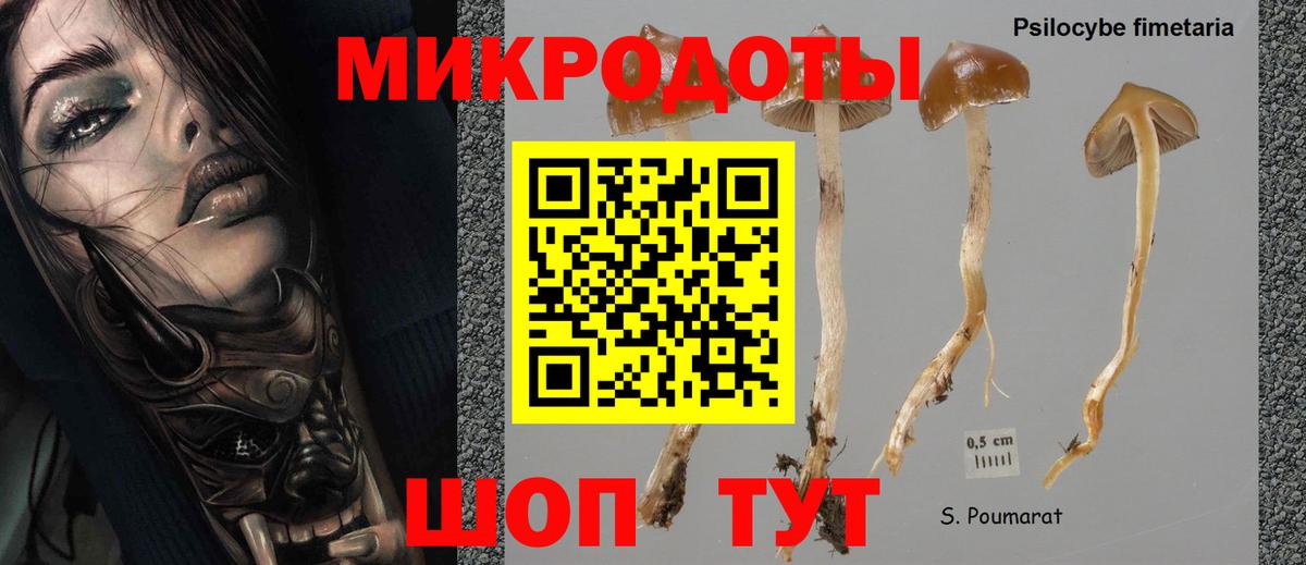 Псилоцибиновые грибы мухоморы Арсеньев